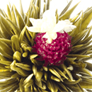 Blooming tea, fea forte, tea sets