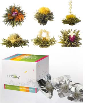 Medley Teaposy Blooming Tea Modern Unique Tea